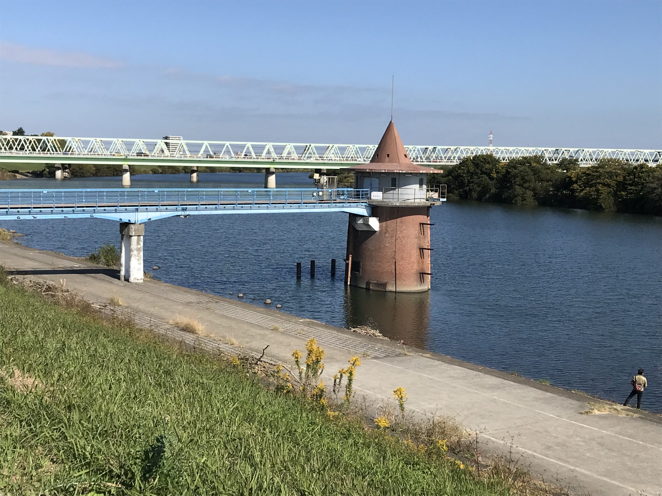 朝の綺麗な空気を吸いながら