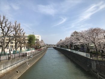 真間川沿いでのお建て替え