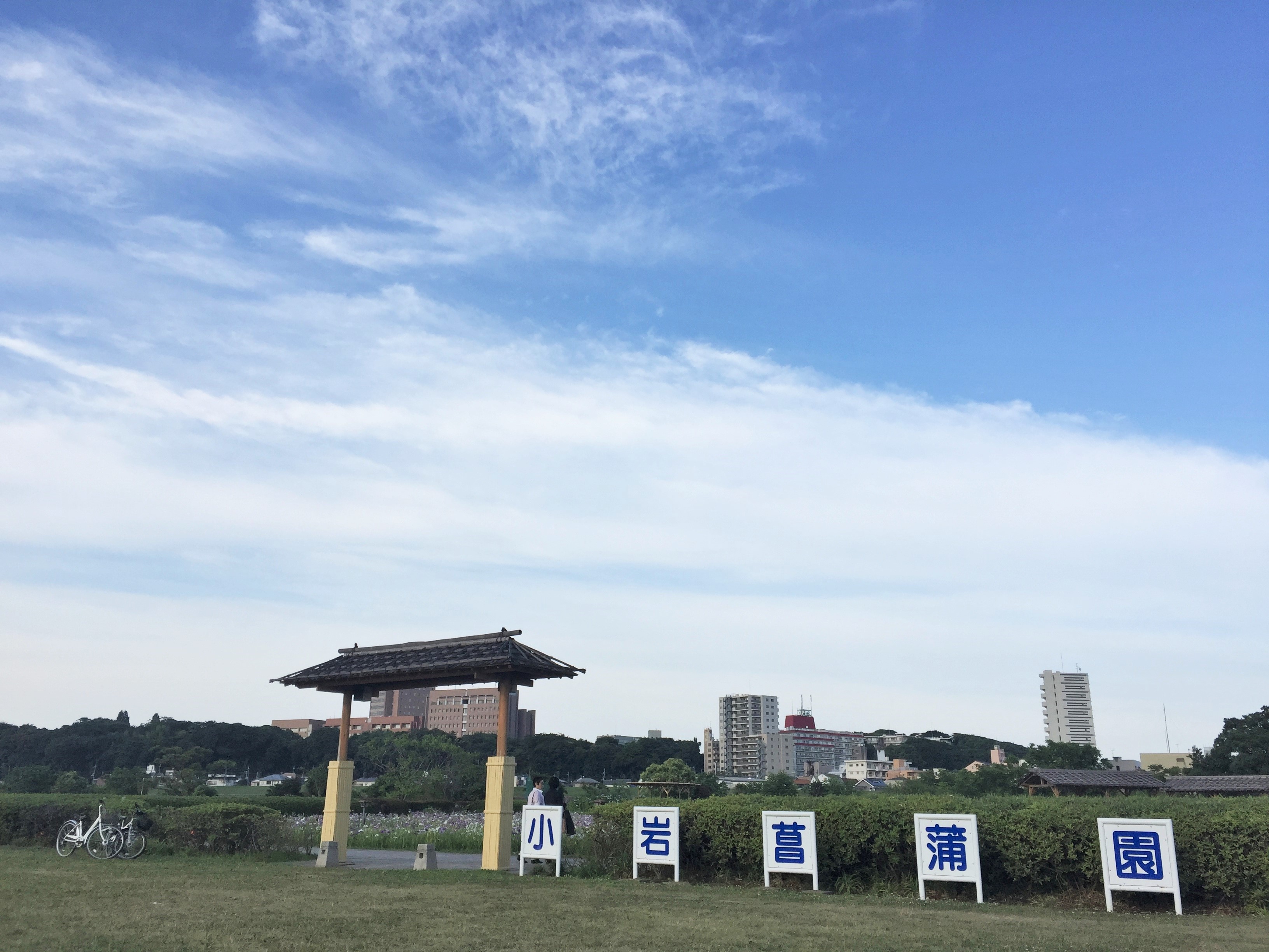 小岩方面によく行きます