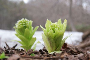 2014年旧暦から始まる今年の経済見通し！