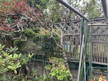 夏休みにDIYで外構のフェンスを交換 ③交換作業-1