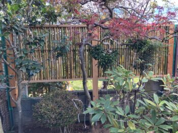 夏休みにDIYで外構のフェンスを交換 ⑥ついに完成！