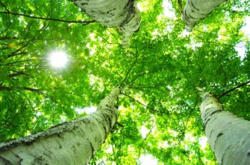 夏休みの楽しみ方