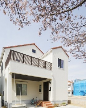 桜満開！！自然の力ってすごい！！