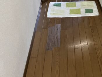 市川市のマンション内装リフォーム工事①