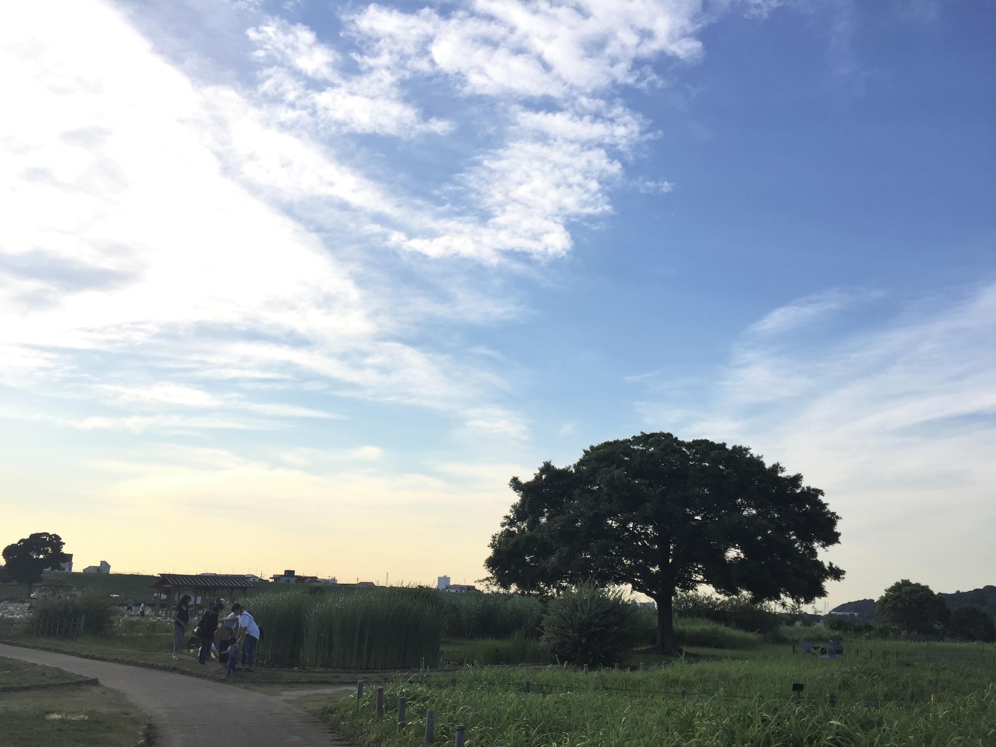 小岩方面によく行きます