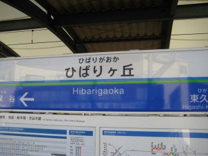 久しぶりの実家