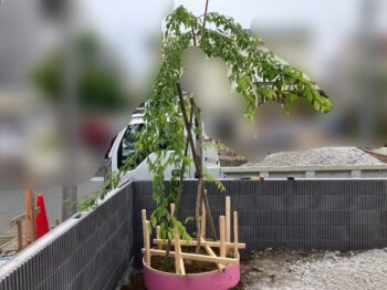 市川市A様邸　新築工事