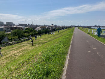 令和6年度　市川市による「江戸川クリーン作戦」