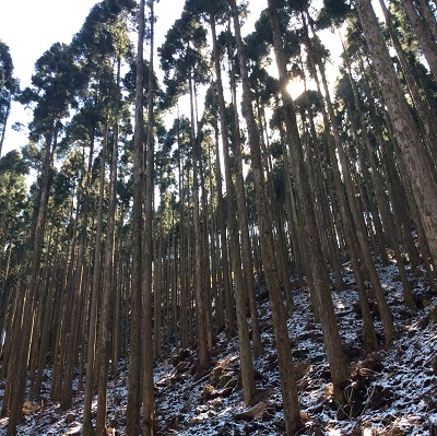 自然素材の家ってエコじゃない？!   ～松戸・柏の勉強会より～